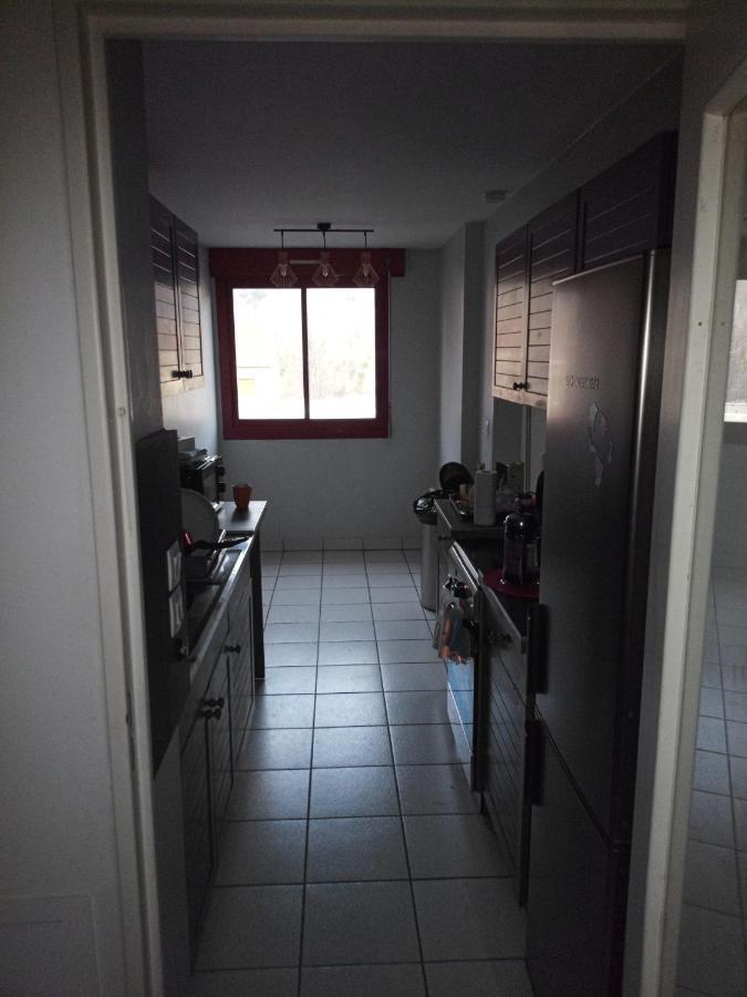 -- Le Refuge, A 50 Metres De La Gare -- Apartment Grenoble Ngoại thất bức ảnh