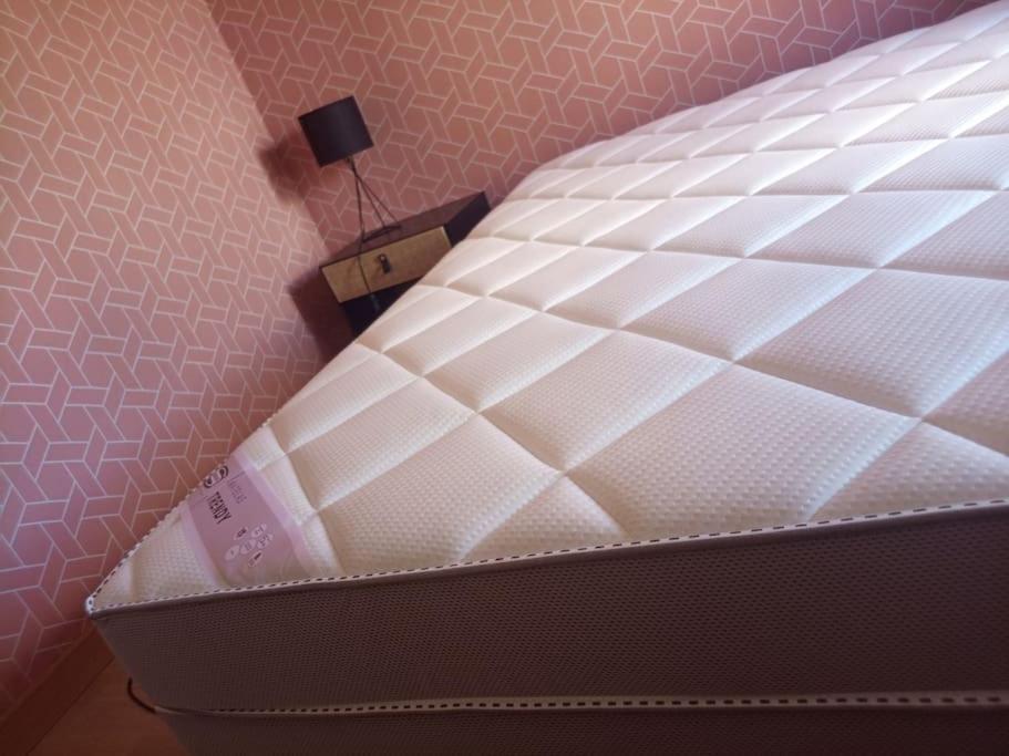 -- Le Refuge, A 50 Metres De La Gare -- Apartment Grenoble Ngoại thất bức ảnh