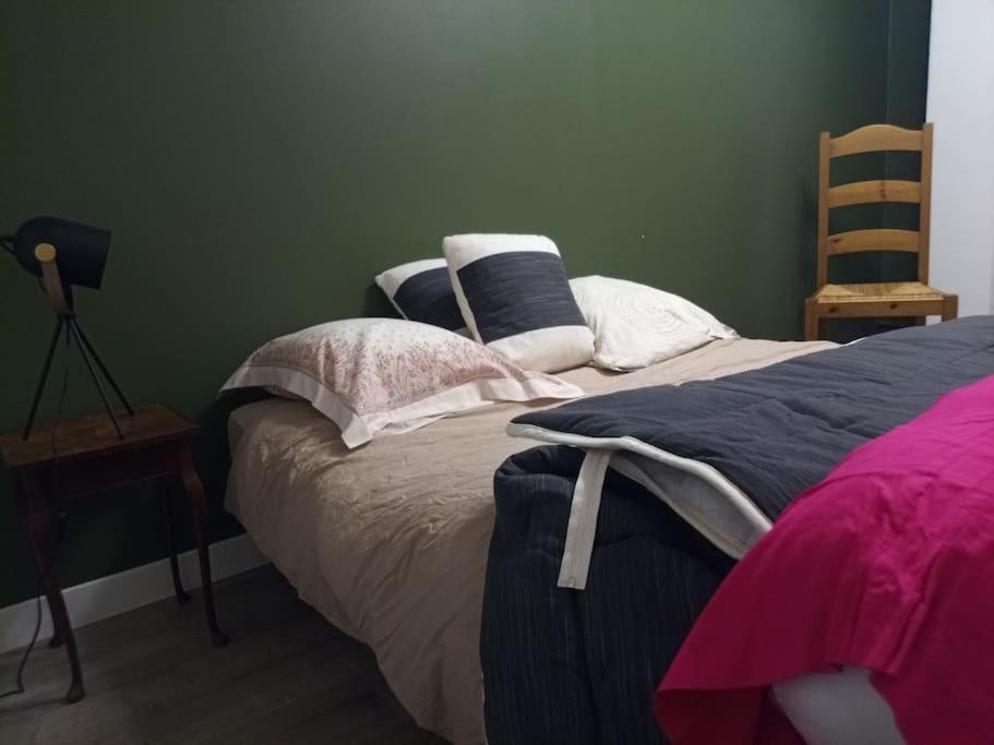 -- Le Refuge, A 50 Metres De La Gare -- Apartment Grenoble Ngoại thất bức ảnh